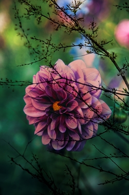 Fioletowy kwiat za gałęziami