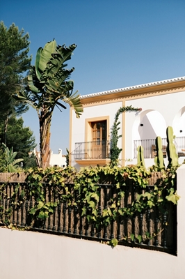 Ibiza hus med tropisk have