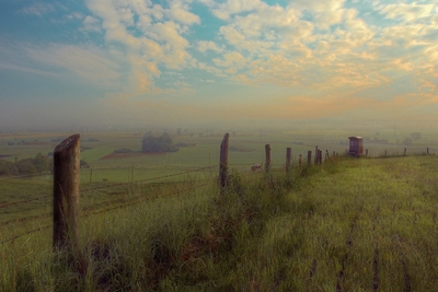 Tåget landskab om morgenen