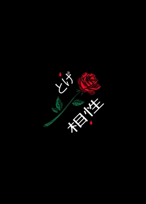 Fleur de rose