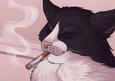 Smoking Cat Meme