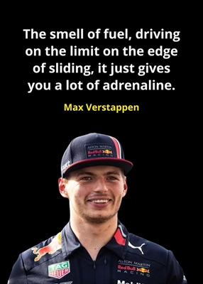 Max Verstappen sitater