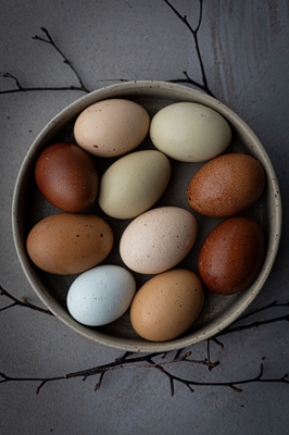 Glückliche Eier