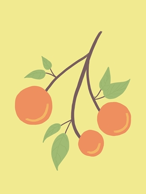Orangen-Genuss