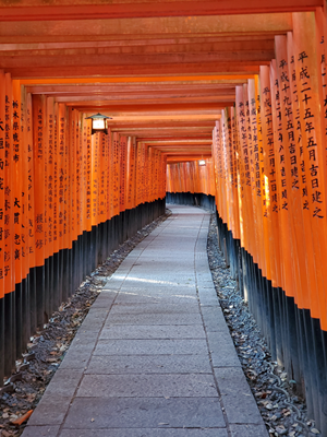 Ranní procházka v Kjótu