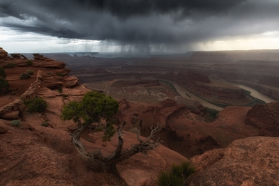 Colorado Canyon in de regen