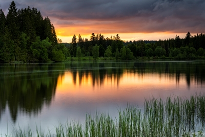 Jezero v Černém lese ve večerních hodinách