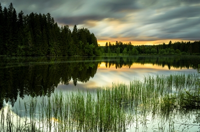 Jezero v Černém lese