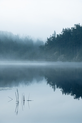 Serene Lake in Autumn Mist