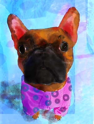 Fransk bulldog i pyjamas