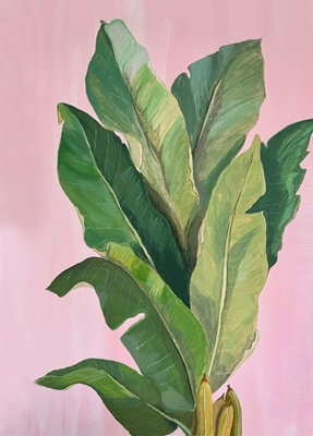 Tropical banana leaves 