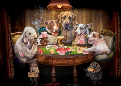 Funny Dog Playing Poker