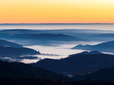 Ranní mlha v Černém lese