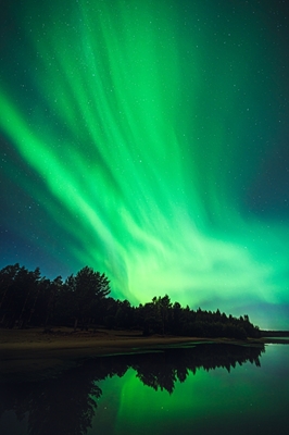Northern lights in Lapland