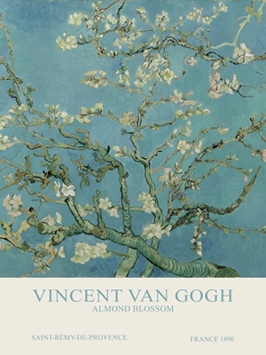 Almond Blossom - V. Van Gogh