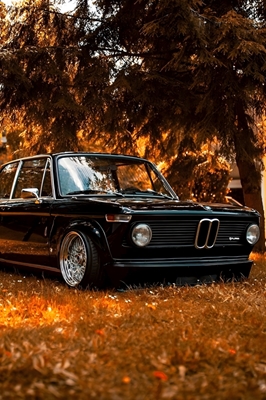 Klassischer BMW 
