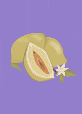 Vrouwelijke citroen