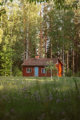 The Red Summer Cabin