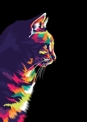 Cat Colourfull