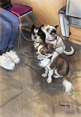 Dogs on a tram