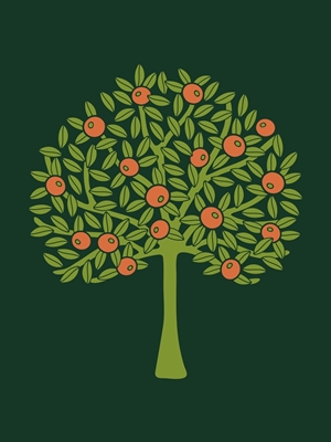ORANŻERIA Drzewo Cytrusowe Dk Zielone