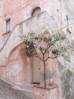Vaaleanpunainen talo Calabriassa