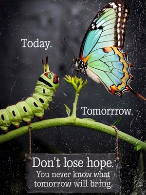 Verlieren Sie nicht die Hoffnung