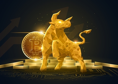 Bull Bitcoin Kryptowaluta