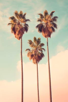 Het Paradijs van de Palmen van Los Angeles