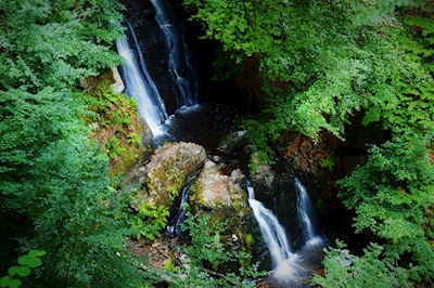 The Waterfall of Forsakar
