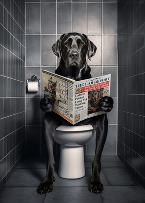 Zwarte Labrador op het toilet
