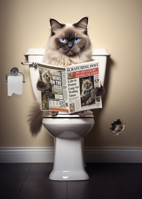 Ragdoll Cat on the Toilet