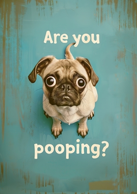 Pug "Are you pooping"?