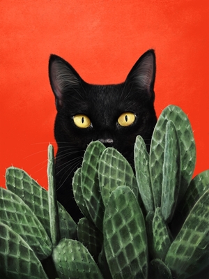 Gato negro en cactus