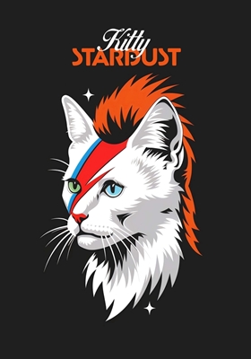 Kitty Stardust