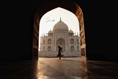 Dançarino no salão Taj Mahal