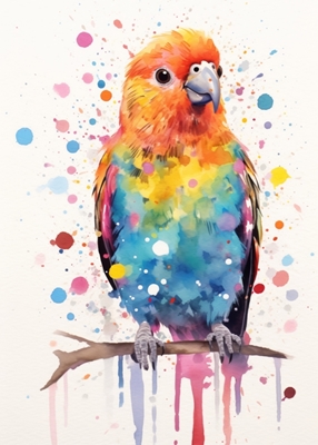 Akvarell vakker fugl