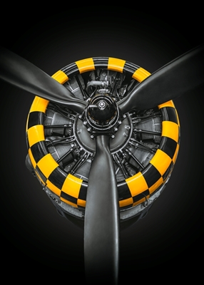 radial motor