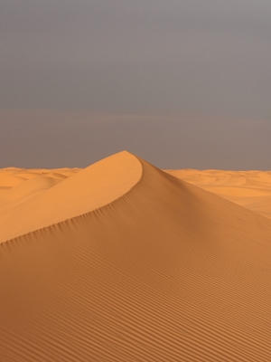 Solnedgång i Sahara