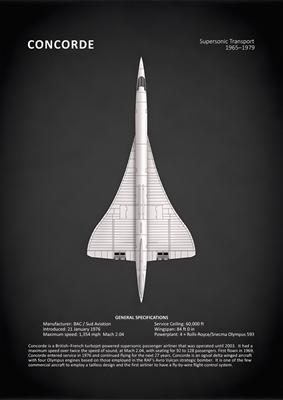 Transporte Concorde