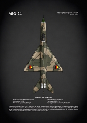 MiG-21 Vliegtuigen