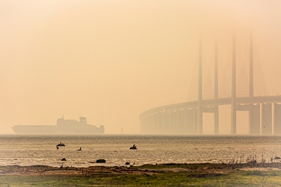 El puente de Öresund en la niebla de la tarde