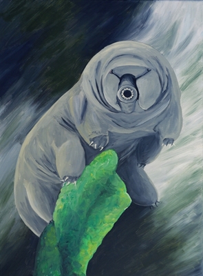 tardigrade Ursel