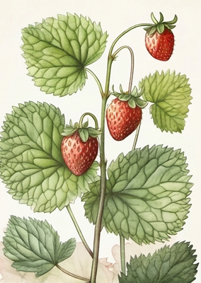 Ville jordbær 