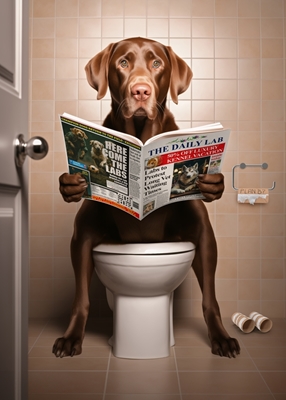 Labrador på toalettet