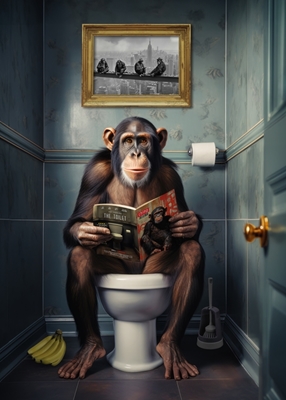 Chimpanzé sur les toilettes