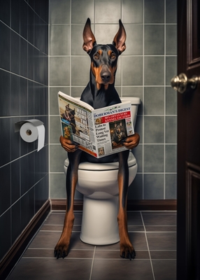 Dobermann auf der Toilette