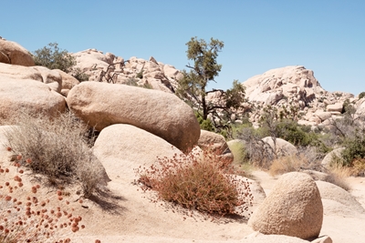 Balvanitá skalní poušť