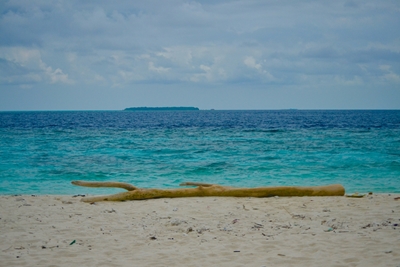 Legni galleggianti su una spiaggia paradisiaca