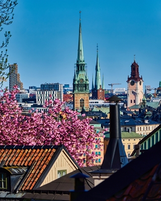 Vibrant Stockholm